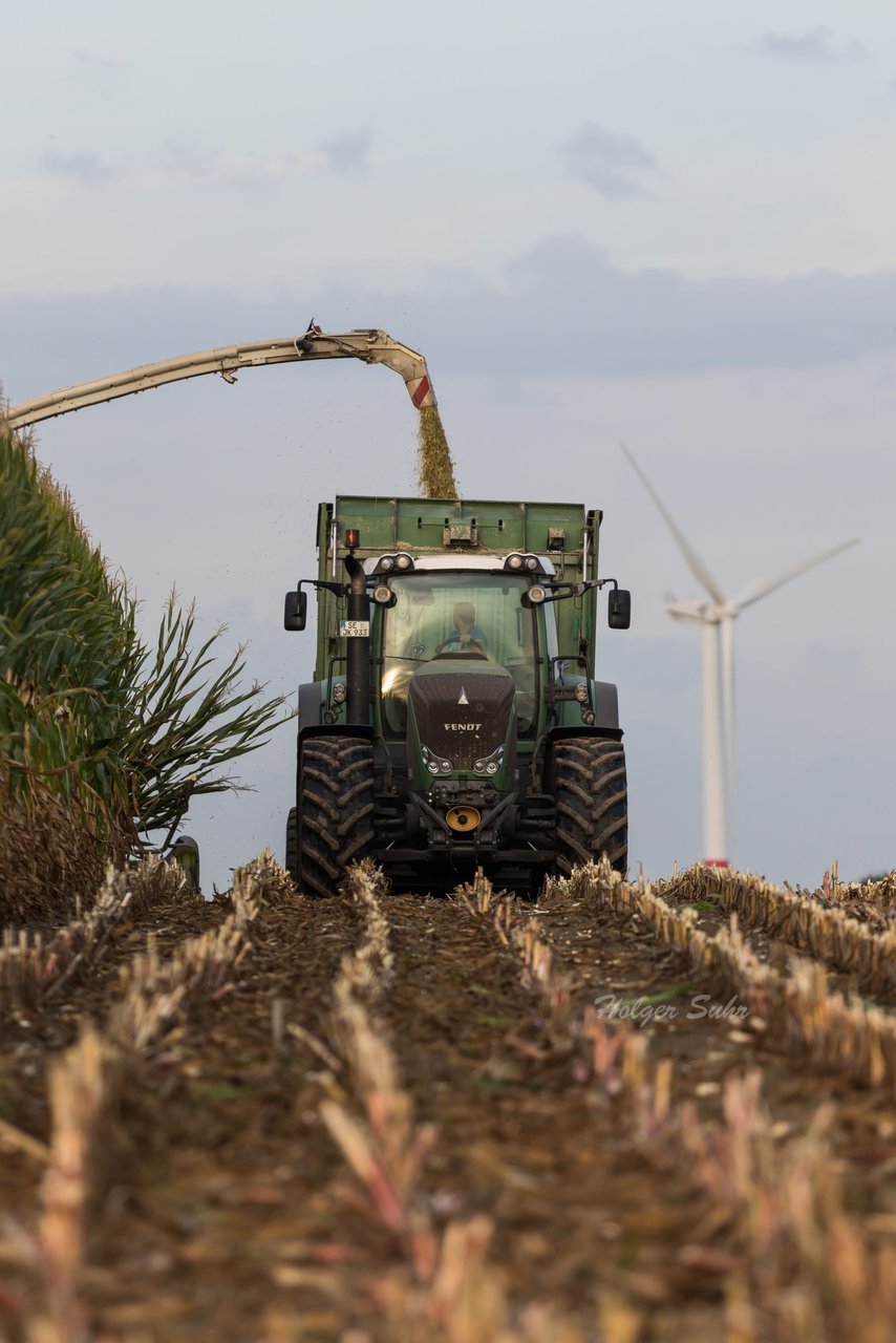 Bild 86 - Maisernte 2016